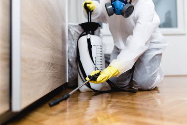 Best Pest Prevention Services  in Wheeling, IL